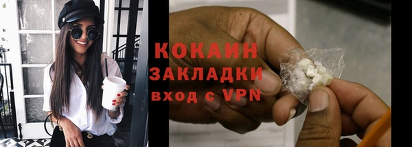 a pvp Бородино