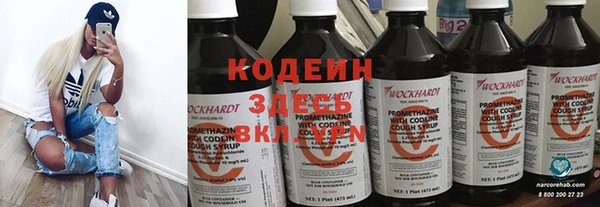 a pvp Бородино